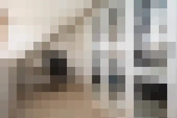 Iepenstraat 88 Zwolle thumbnail 24