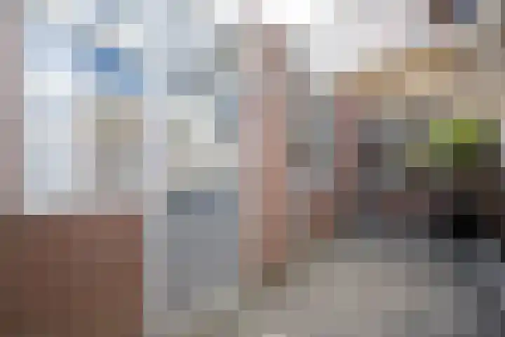 Iepenstraat 88 Zwolle thumbnail 29