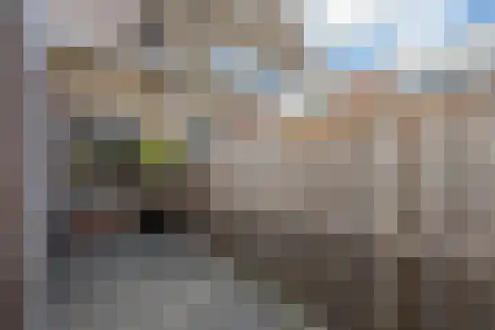 Iepenstraat 88 Zwolle thumbnail 30