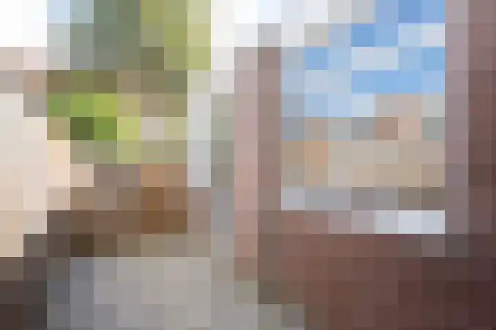 Iepenstraat 88 Zwolle thumbnail 31
