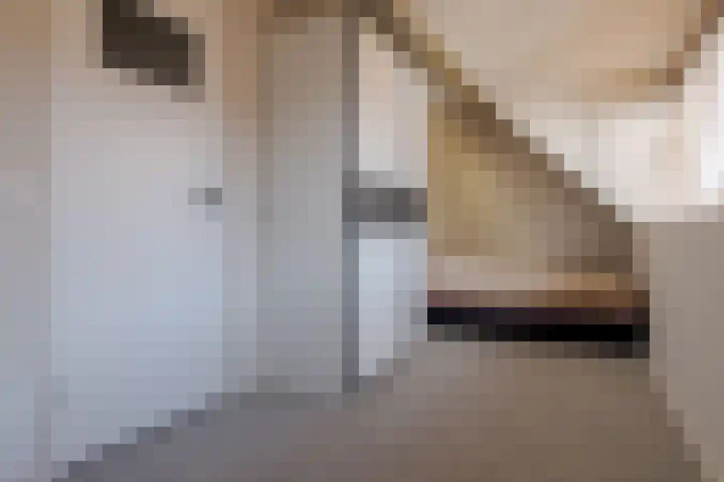 Iepenstraat 88 Zwolle thumbnail 31