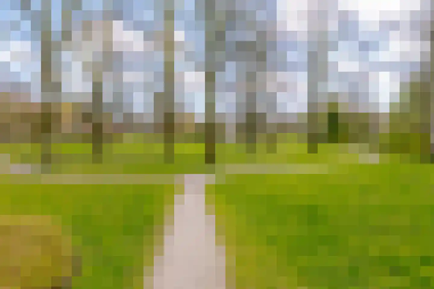 Iepenstraat 88 Zwolle thumbnail 41