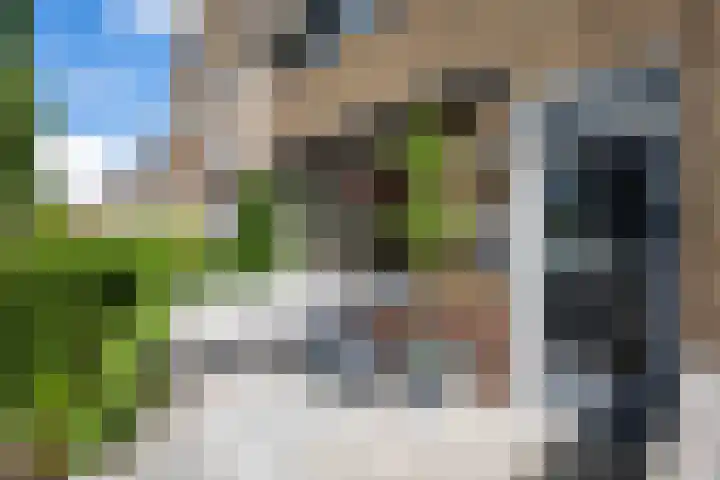 Iepenstraat 88 Zwolle thumbnail 6