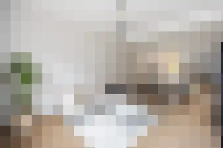Iepenstraat 88 Zwolle thumbnail 9