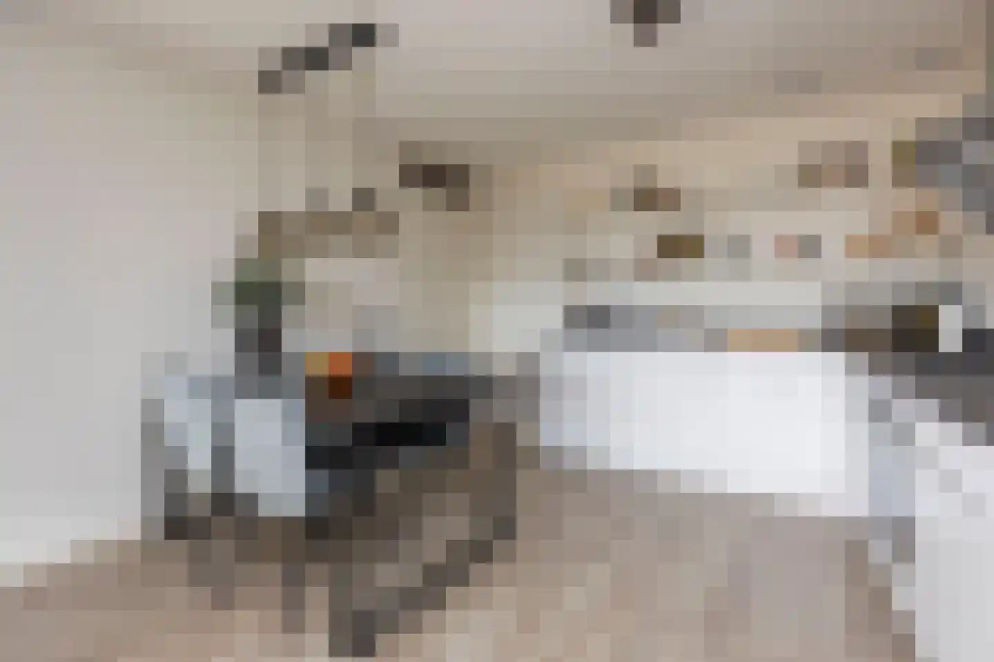 Iepenwede 14 Barendrecht thumbnail 17