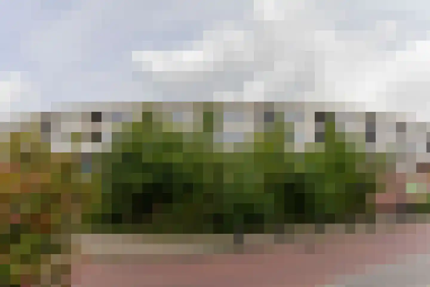 Iepenwede 14 Barendrecht thumbnail 31