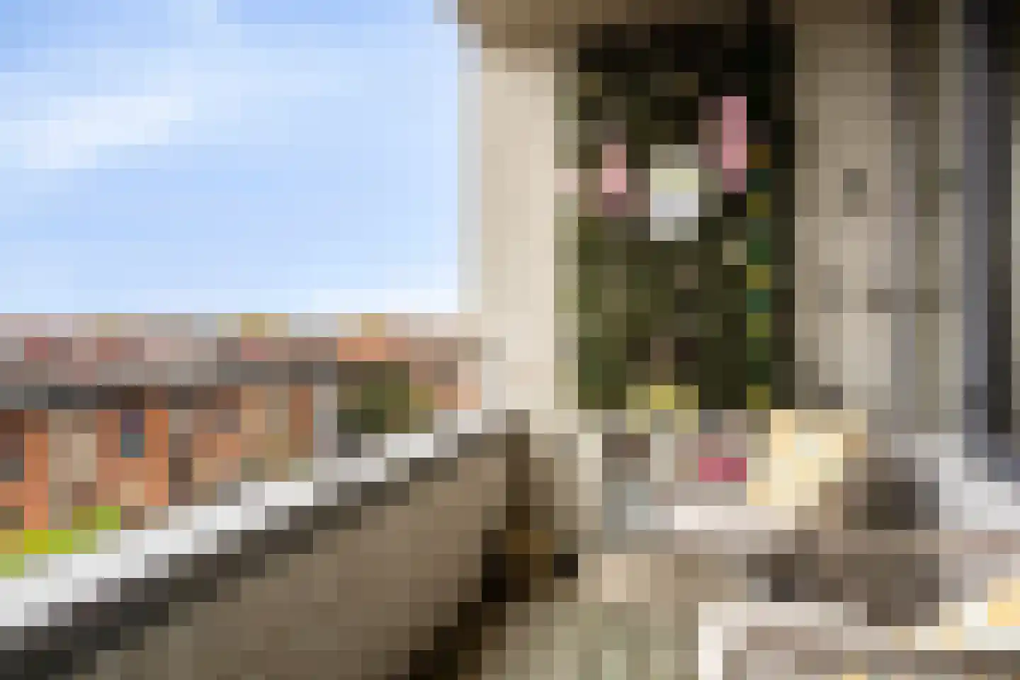 Iepenwede 24 Barendrecht thumbnail 4