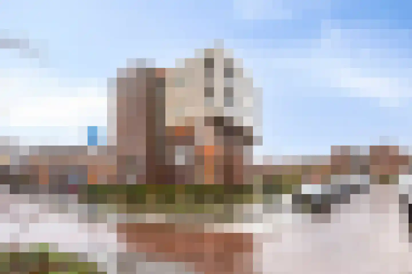 Iepenwede 24 Barendrecht thumbnail 5