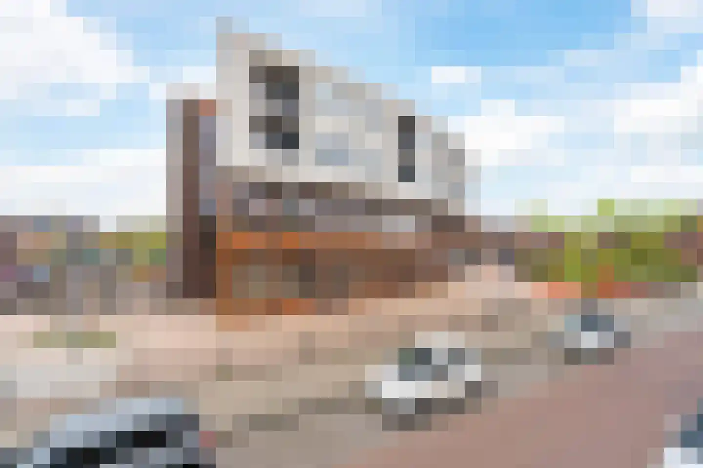 Iepenwede 32 Barendrecht thumbnail 21