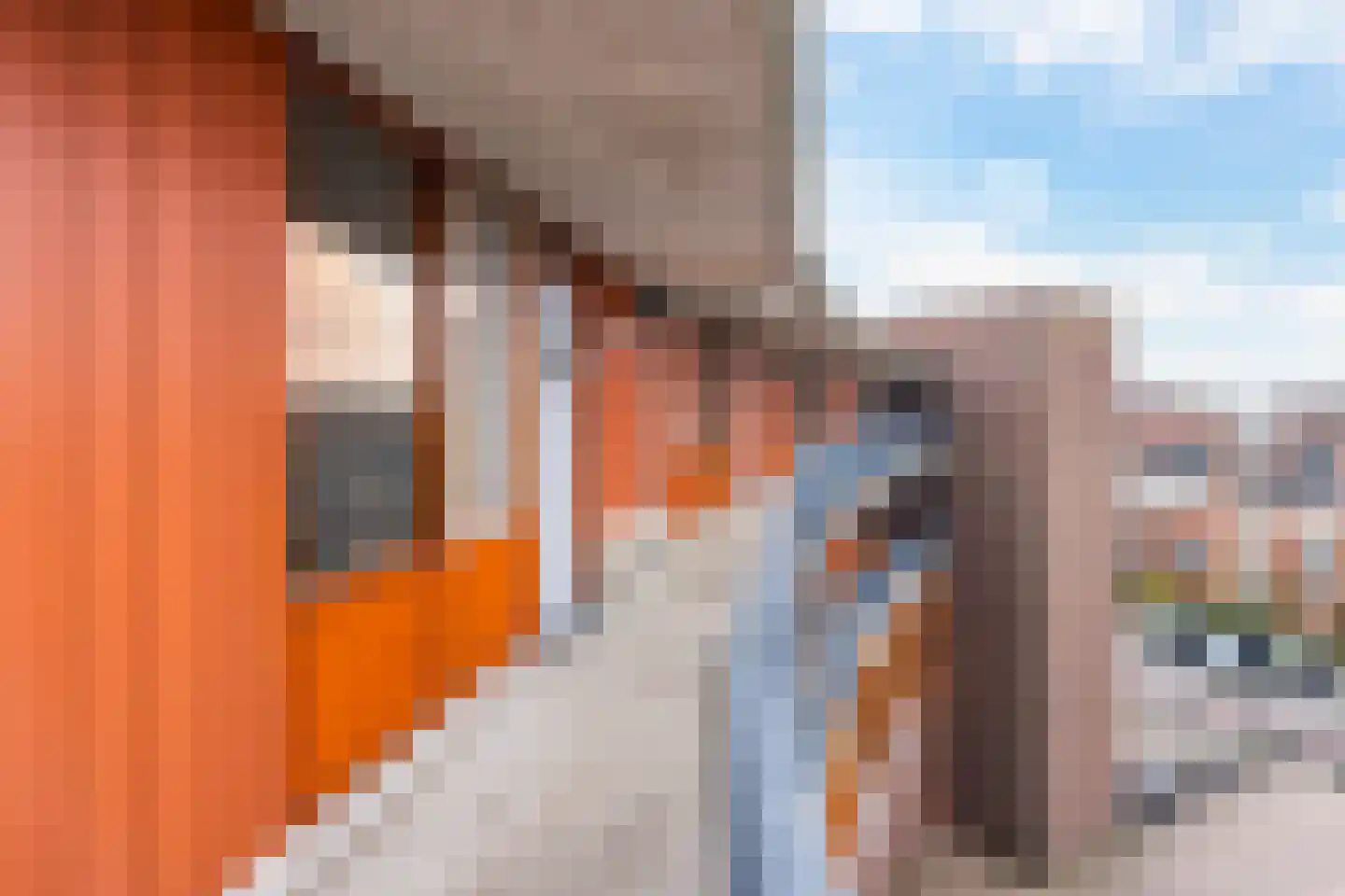 Iepenwede 32 Barendrecht thumbnail 6