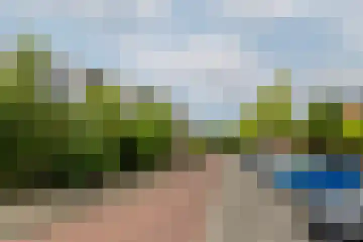Iepenwede 42 Barendrecht thumbnail 18