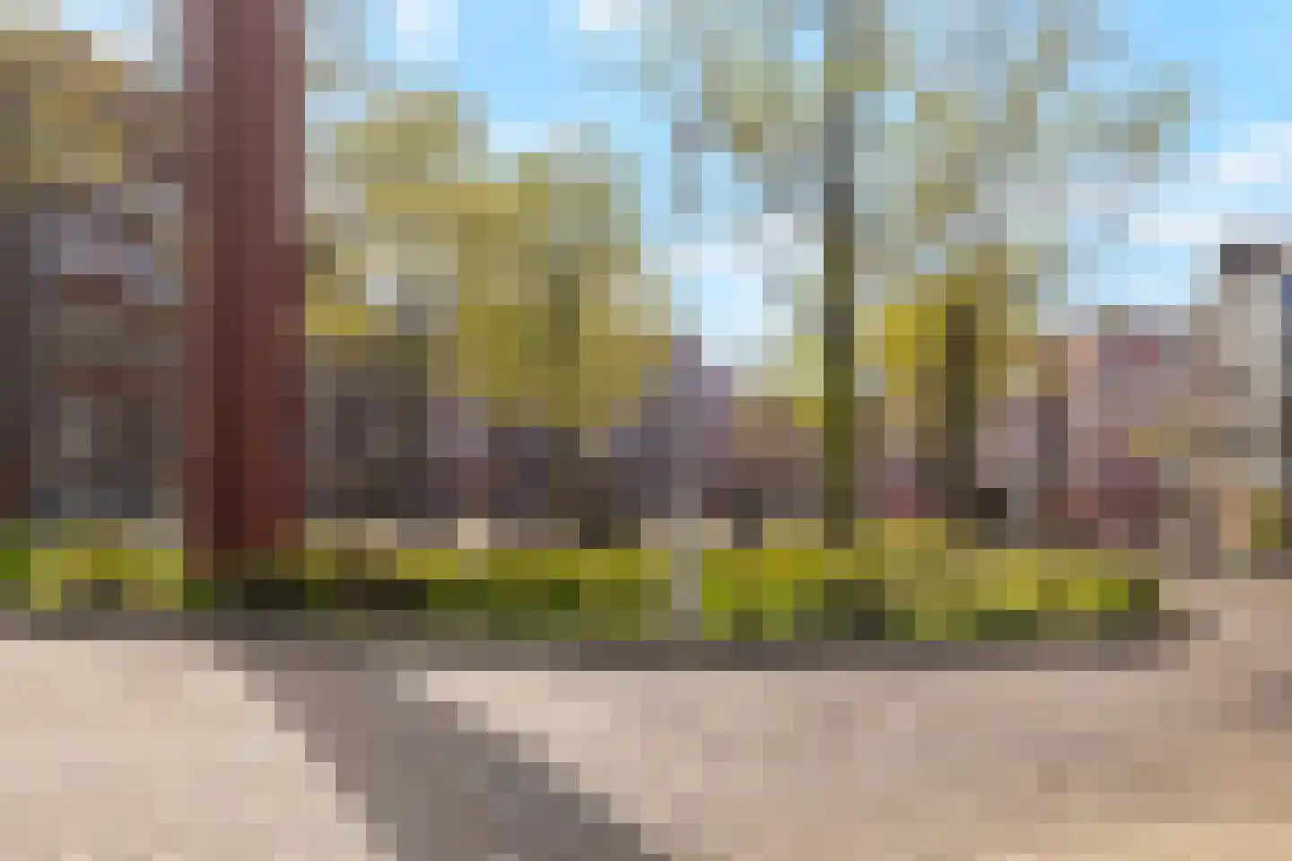 Iepenweg 23 C Amsterdam thumbnail 35