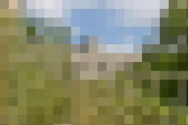 Iepenweg 23 D Amsterdam thumbnail 12