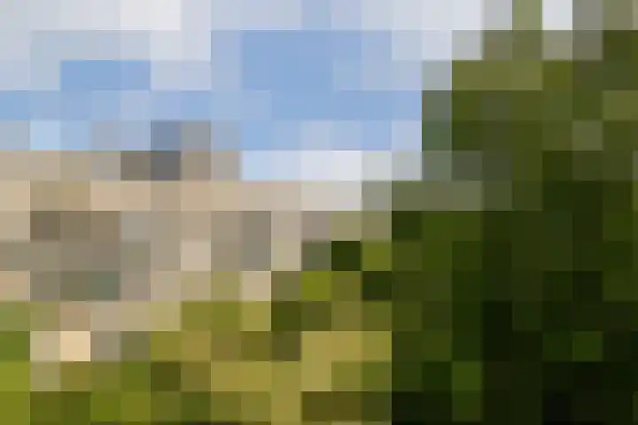 Iepenweg 23 D Amsterdam thumbnail 13