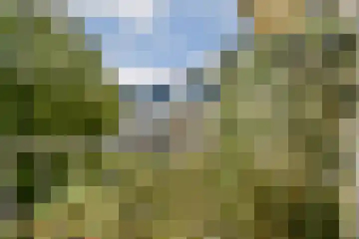 Iepenweg 23 D Amsterdam thumbnail 14