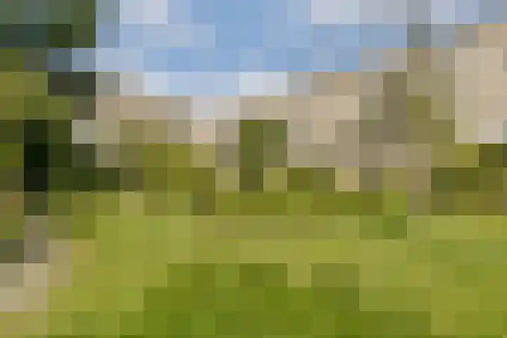 Iepenweg 23 D Amsterdam thumbnail 19