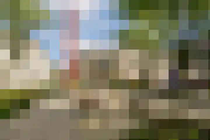 Iepenweg 23 D Amsterdam thumbnail 20
