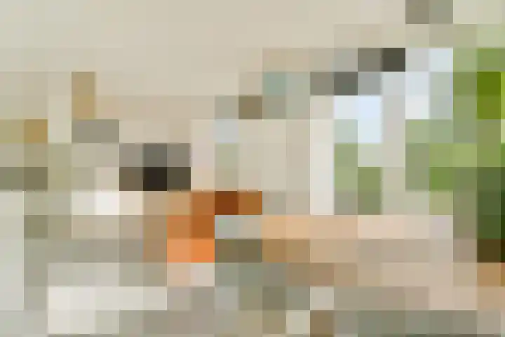 Iepenweg 23 D Amsterdam thumbnail 7