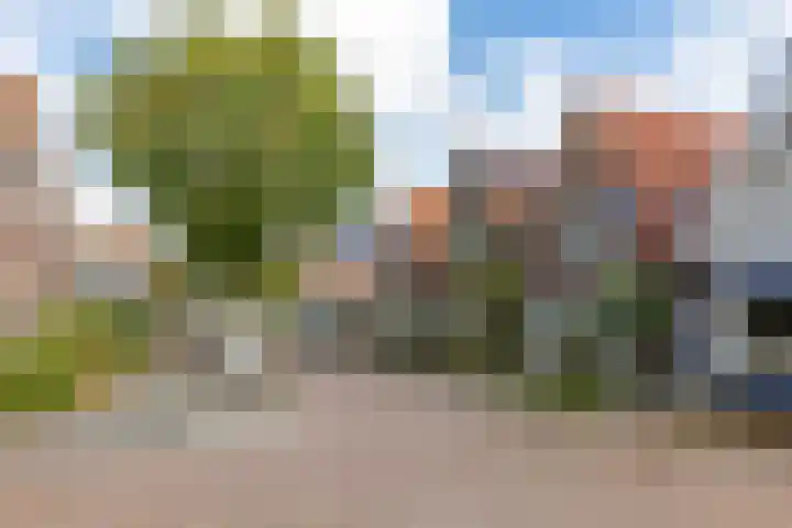 Iepenweg 34 Wormerveer thumbnail 30