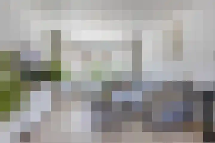 Iepenweg 36 Wormerveer thumbnail 7
