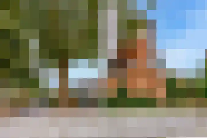Iepenweg 52 Amsterdam thumbnail 32