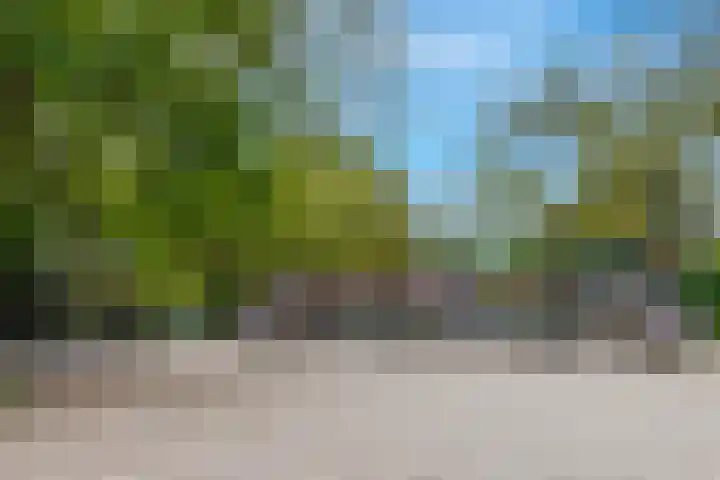 Iepenweg 52 Amsterdam thumbnail 33