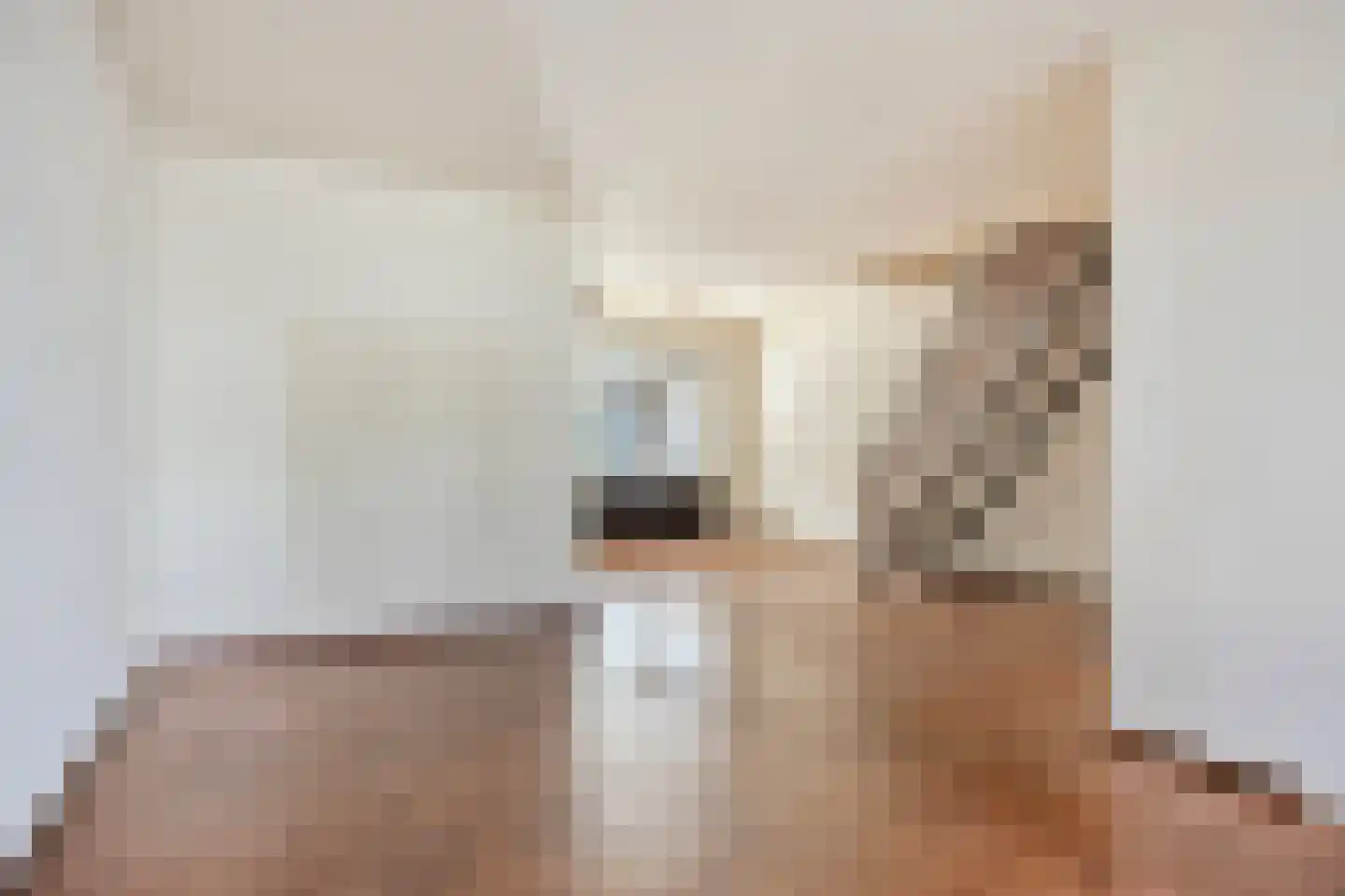 Ieperstraat 12 's-Hertogenbosch thumbnail 4