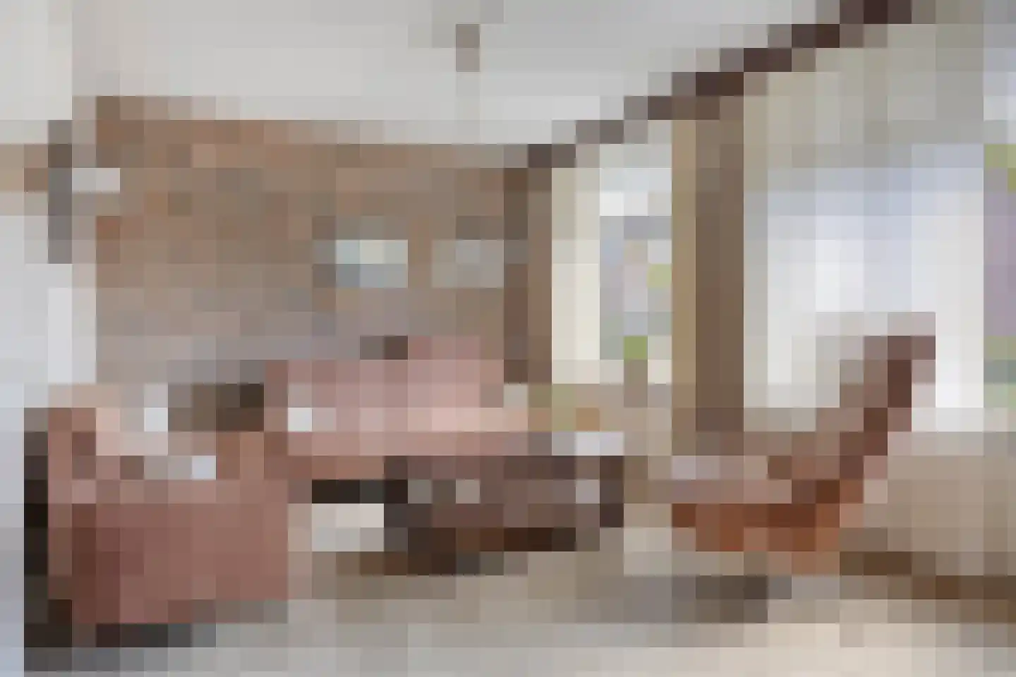 Iepestraat 24 's-Gravenpolder thumbnail 10