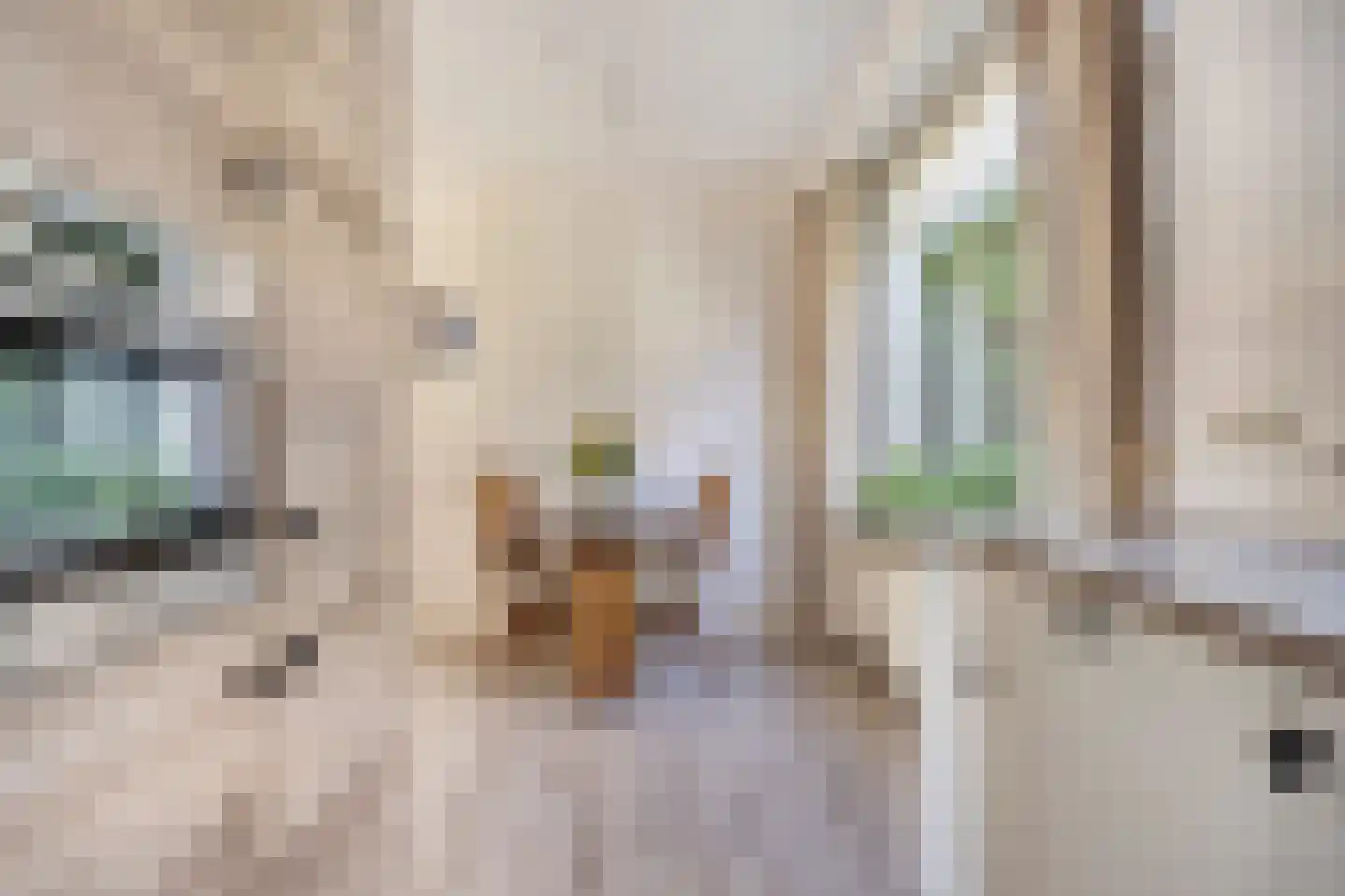 Iepestraat 24 's-Gravenpolder thumbnail 12
