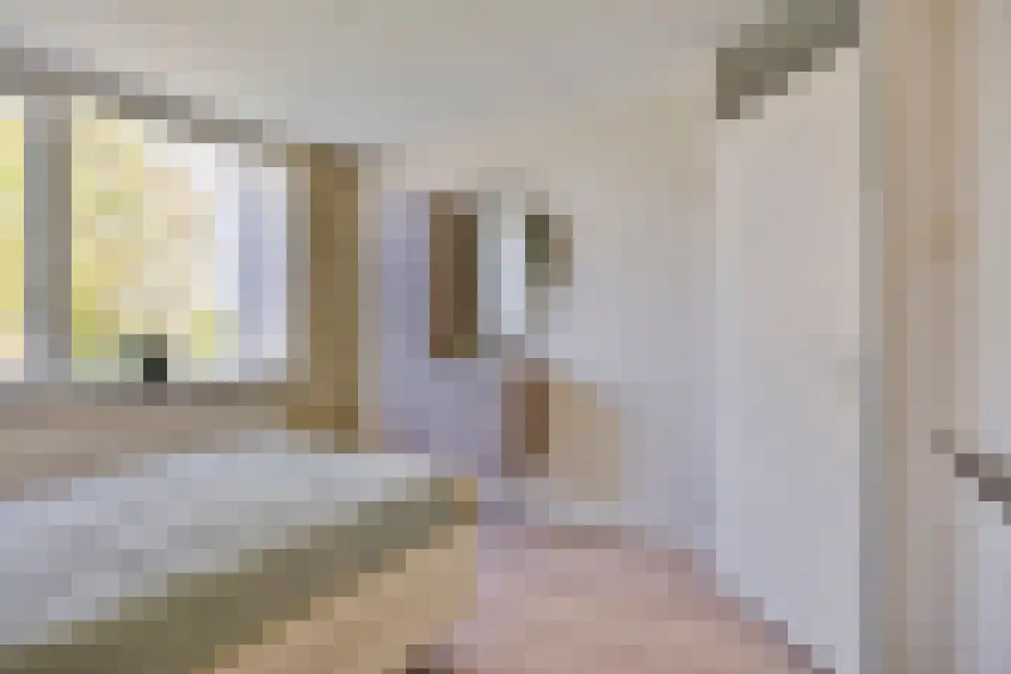 Iepestraat 24 's-Gravenpolder thumbnail 16
