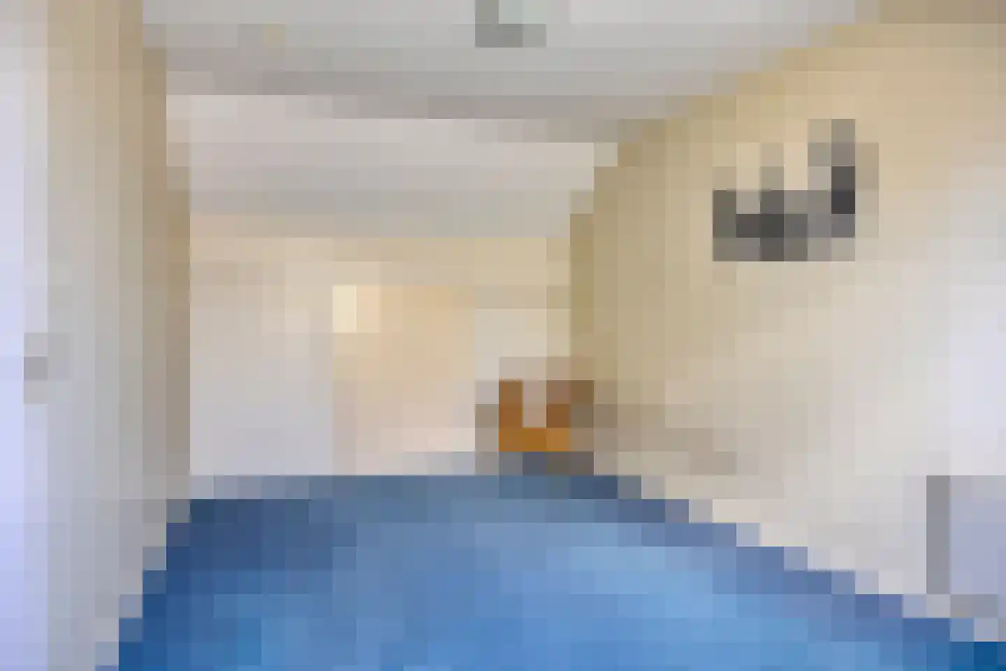 Iepestraat 24 's-Gravenpolder thumbnail 26