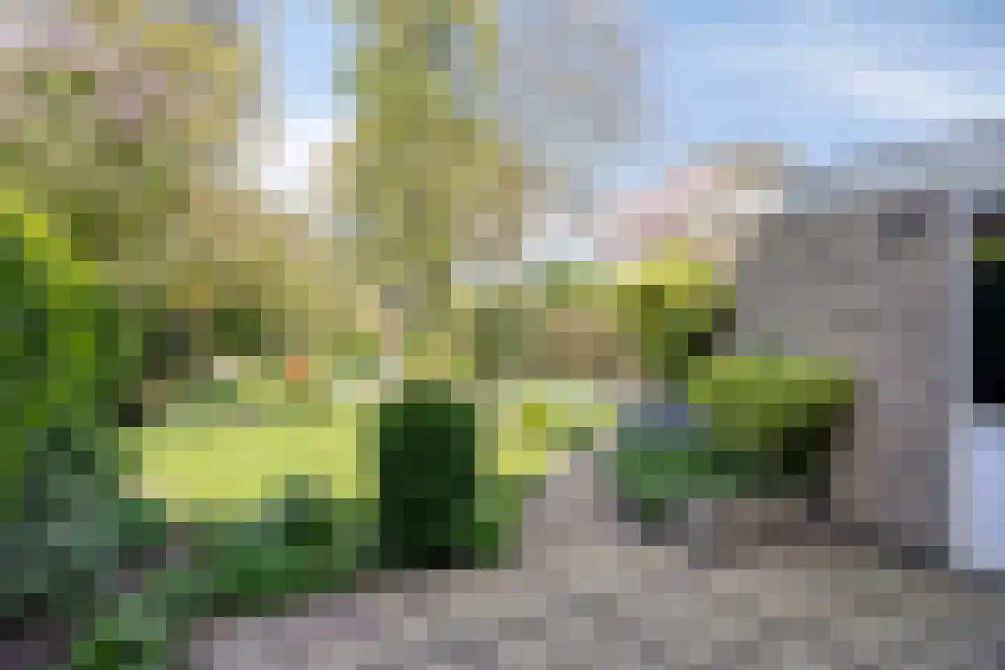 Iepestraat 24 's-Gravenpolder thumbnail 32