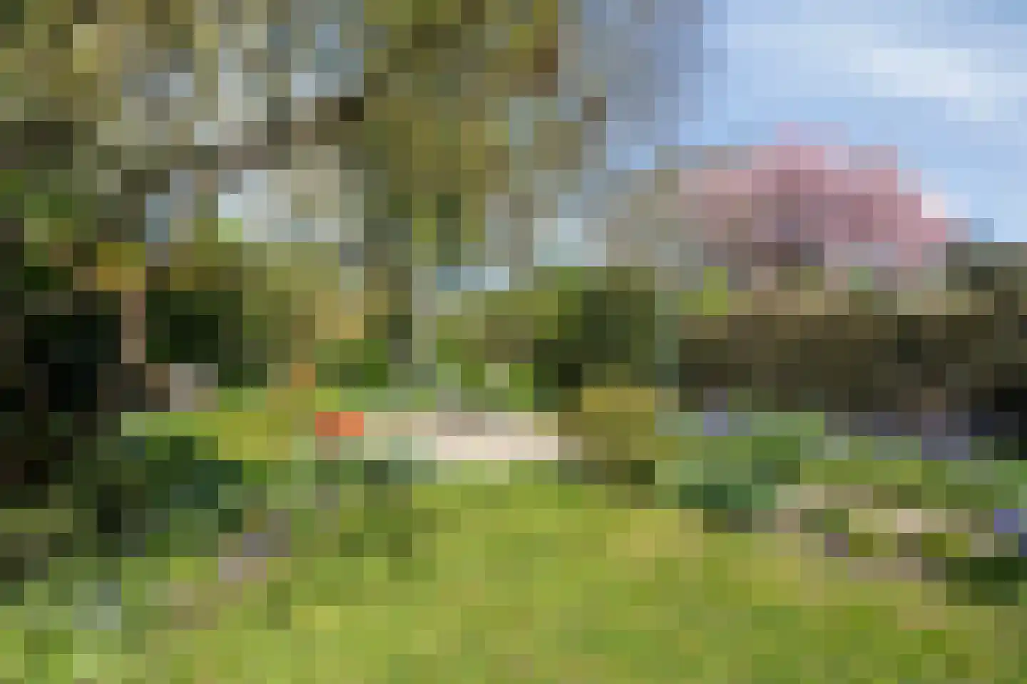 Iepestraat 24 's-Gravenpolder thumbnail 33