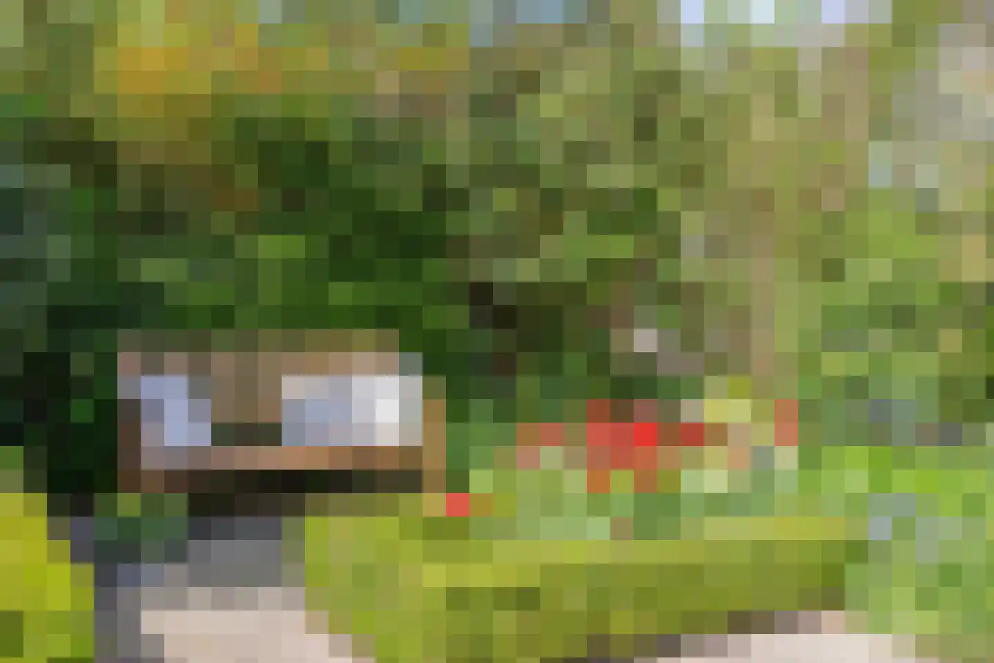 Iepestraat 24 's-Gravenpolder thumbnail 34