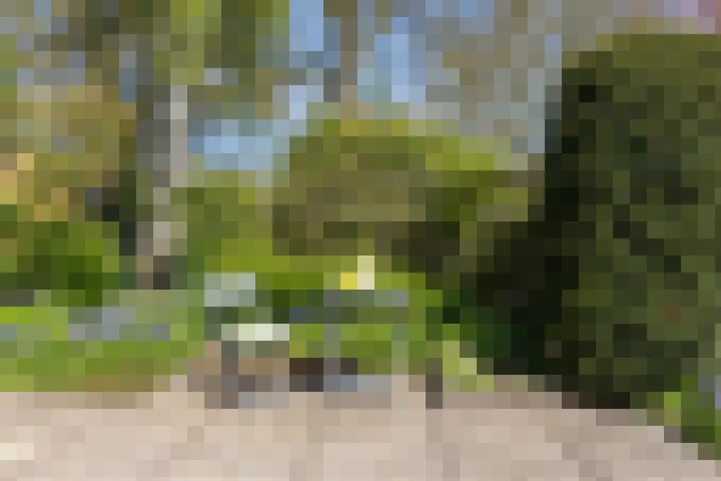 Iepestraat 24 's-Gravenpolder thumbnail 35