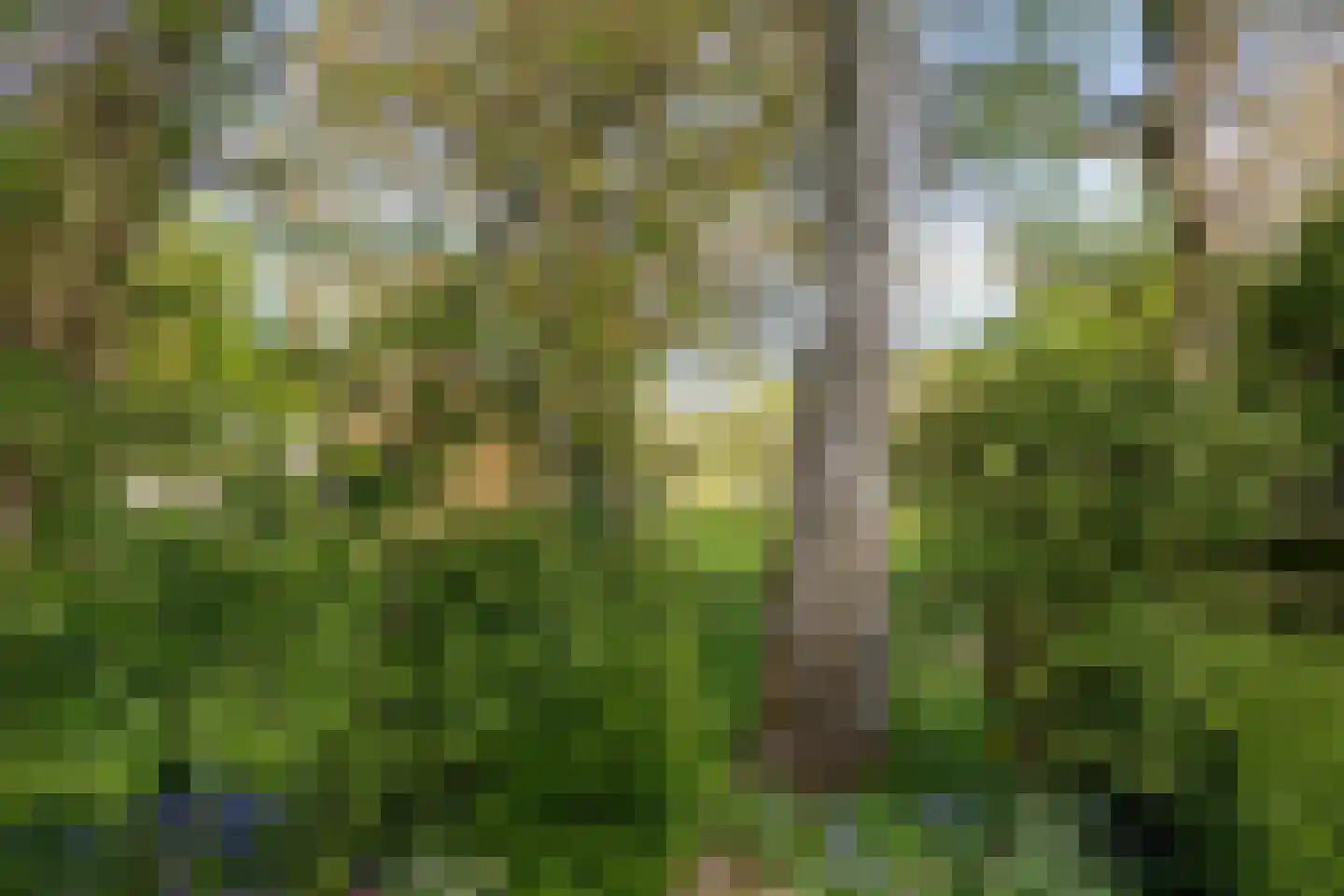 Iepestraat 24 's-Gravenpolder thumbnail 36