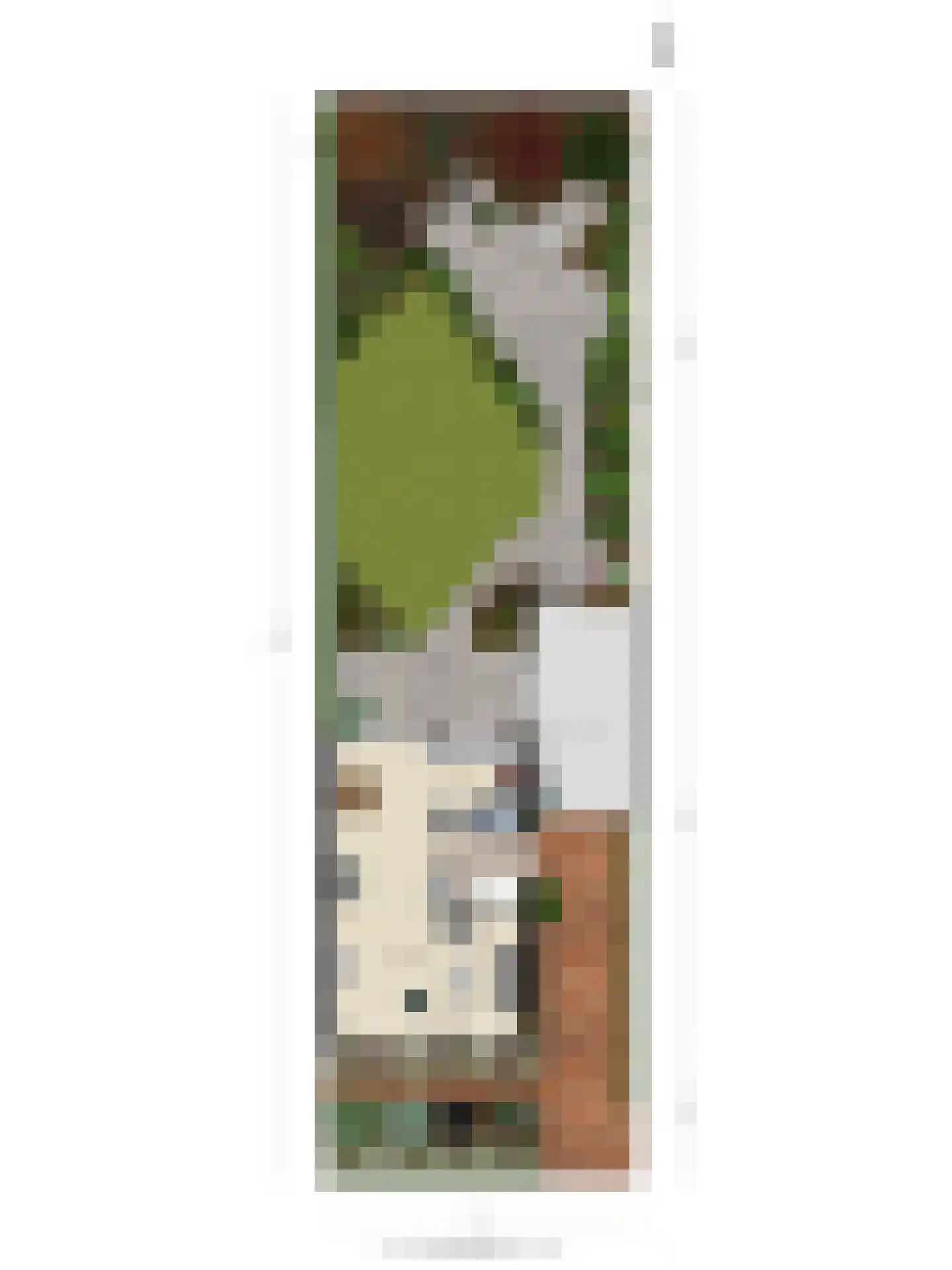 Iepestraat 24 's-Gravenpolder thumbnail 43