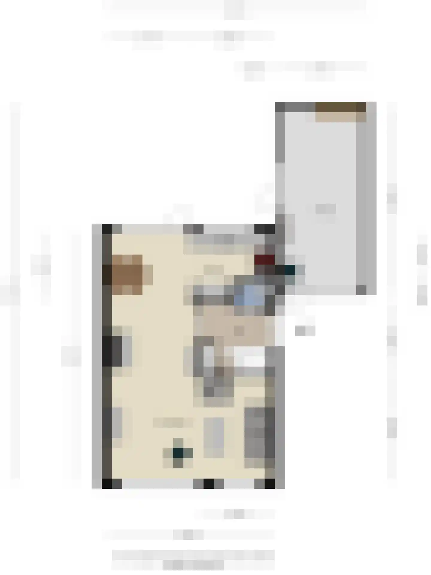 Iepestraat 24 's-Gravenpolder thumbnail 44