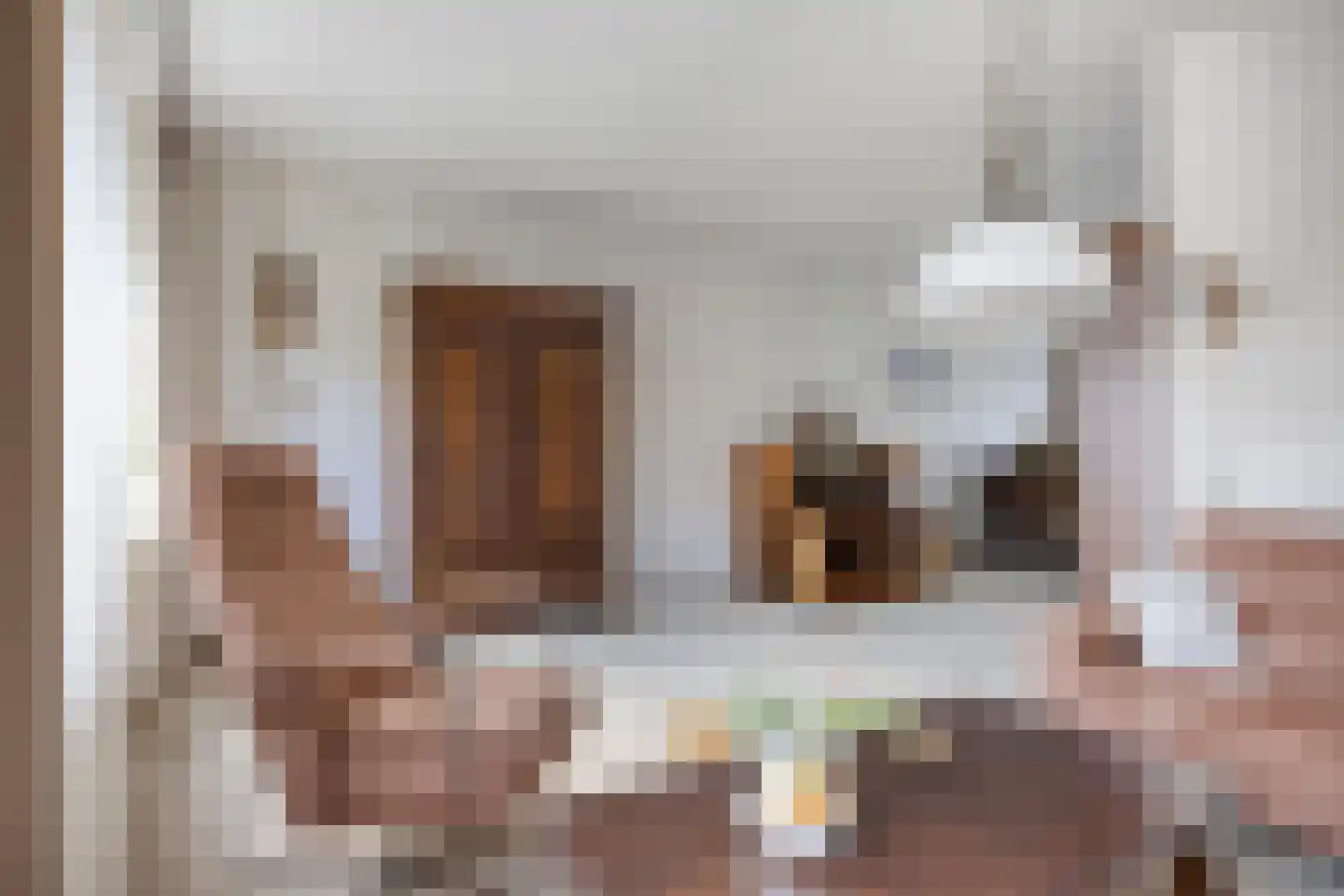 Iepestraat 24 's-Gravenpolder thumbnail 9