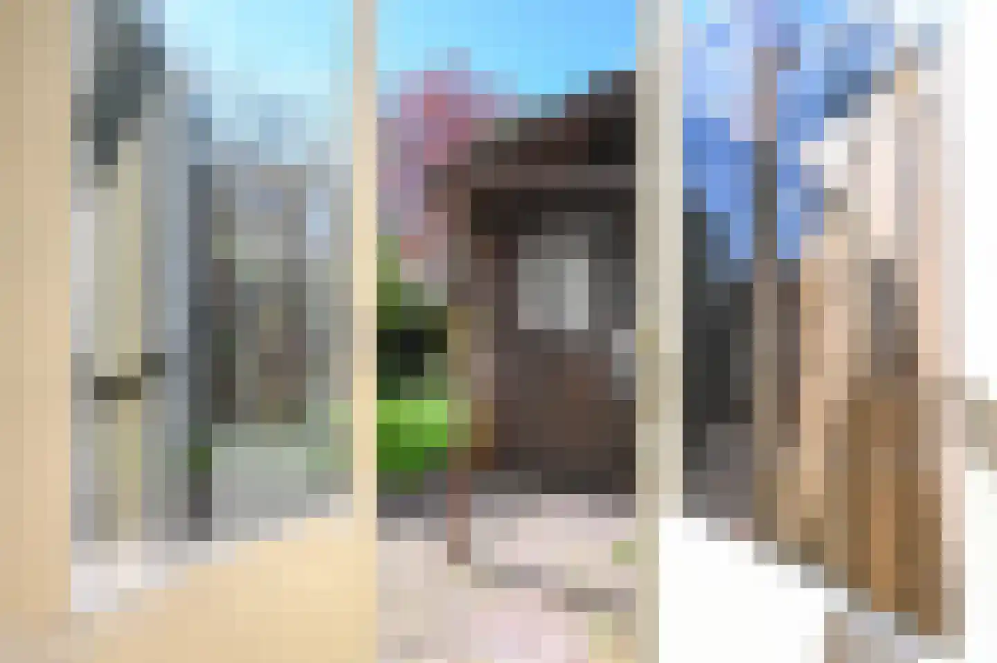 Ieplaan 12 Rijswijk thumbnail 12