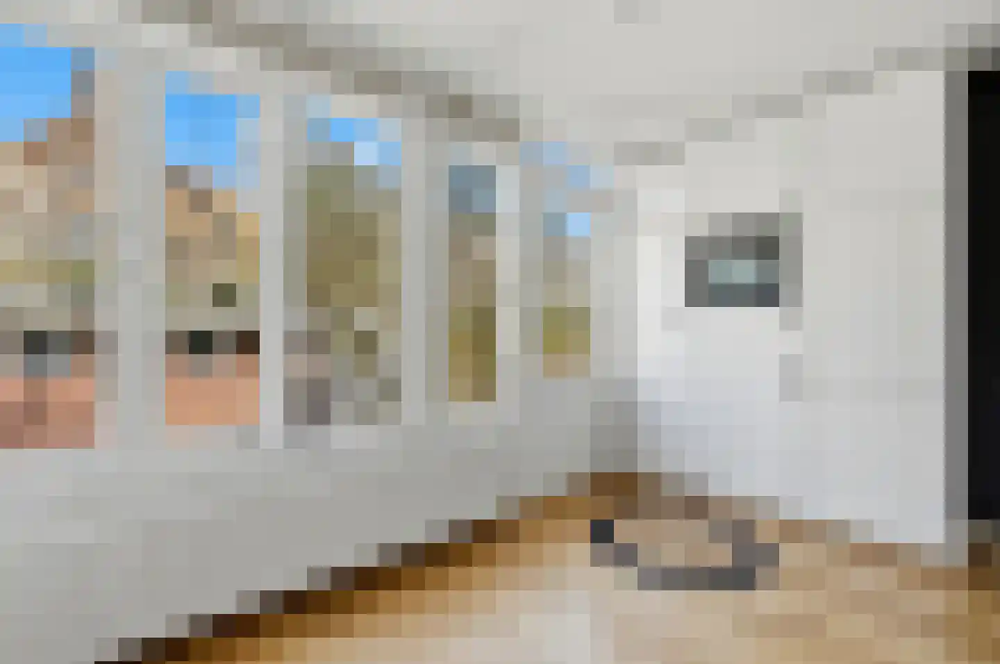 Ieplaan 131 Den Haag thumbnail 15