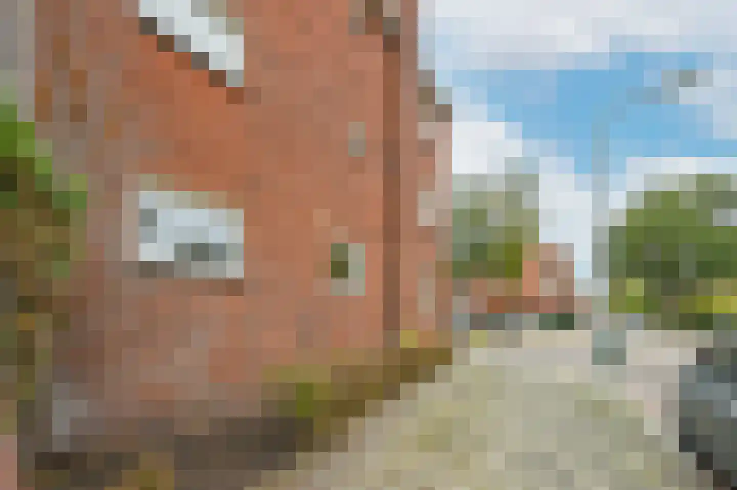 Ieplaan 133 Den Haag thumbnail 31