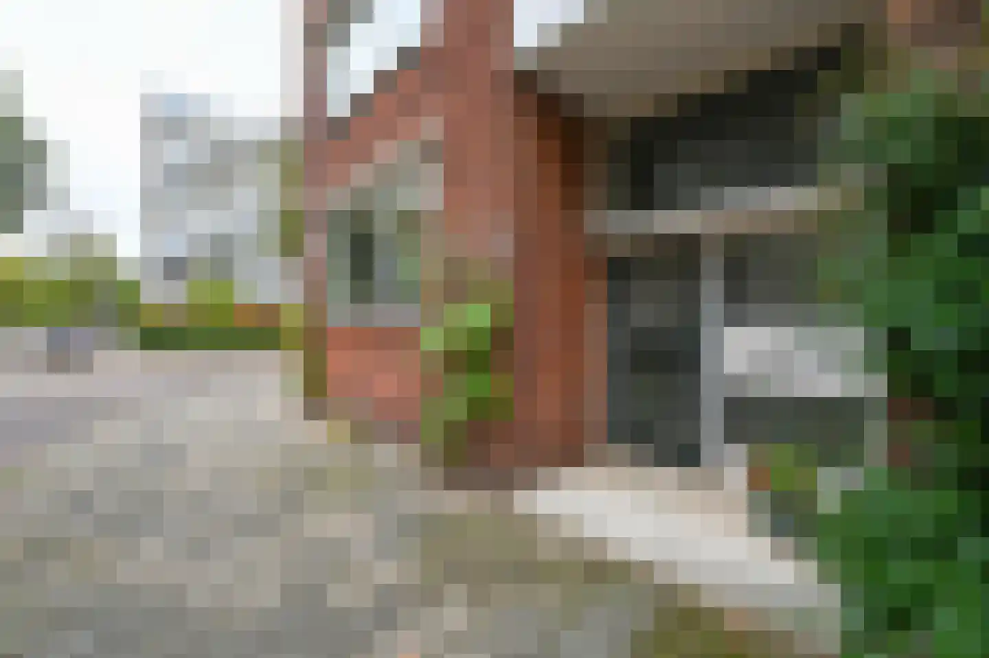 Ieplaan 133 Den Haag thumbnail 9