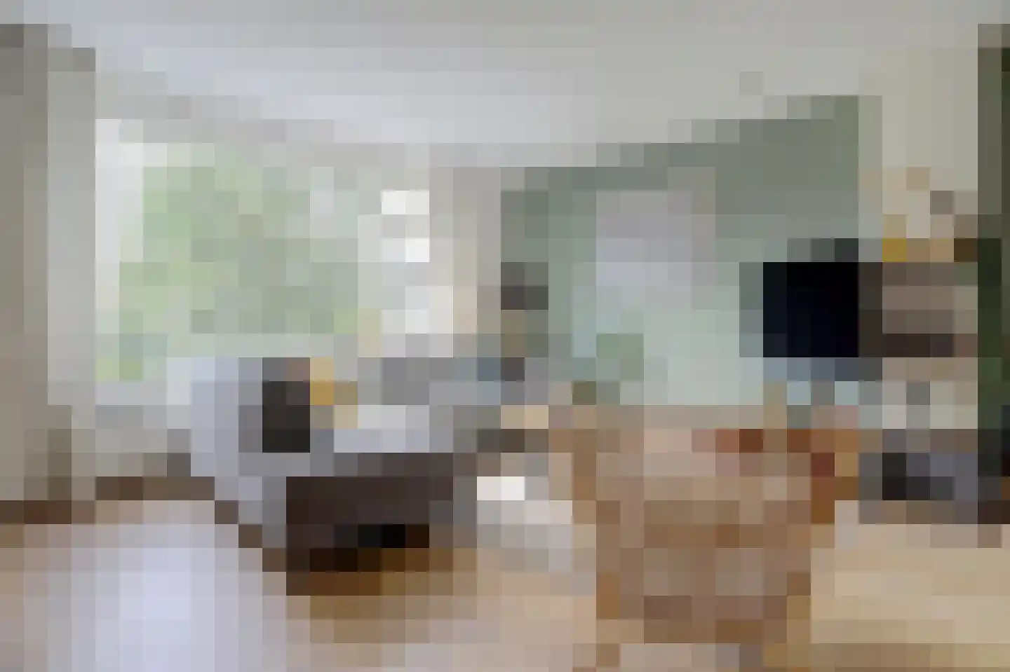 Ieplaan 133 Waddinxveen thumbnail 9