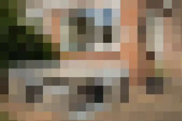 Ieplaan 137 Waddinxveen thumbnail 31