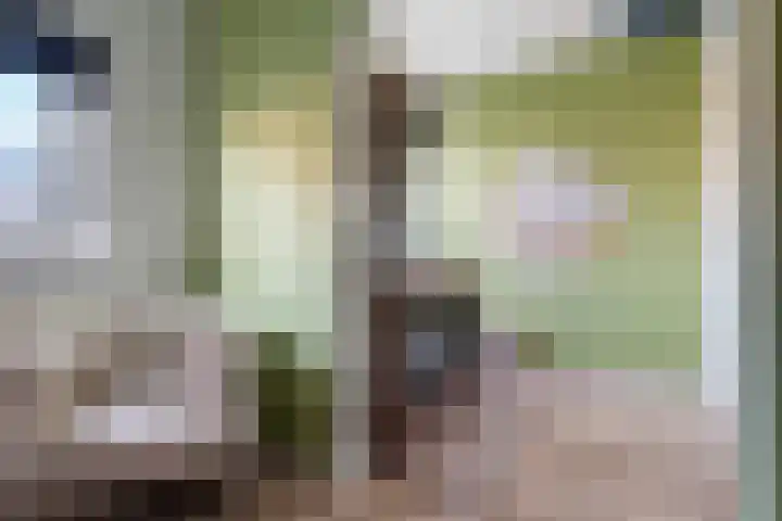 Ieplaan 137 Waddinxveen thumbnail 50