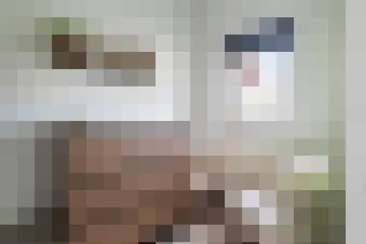 Ieplaan 137 Waddinxveen thumbnail 51