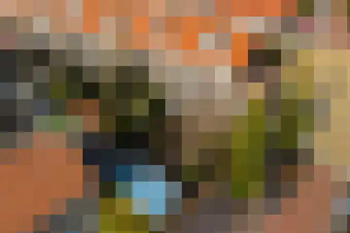 Ieplaan 137 Waddinxveen thumbnail 52
