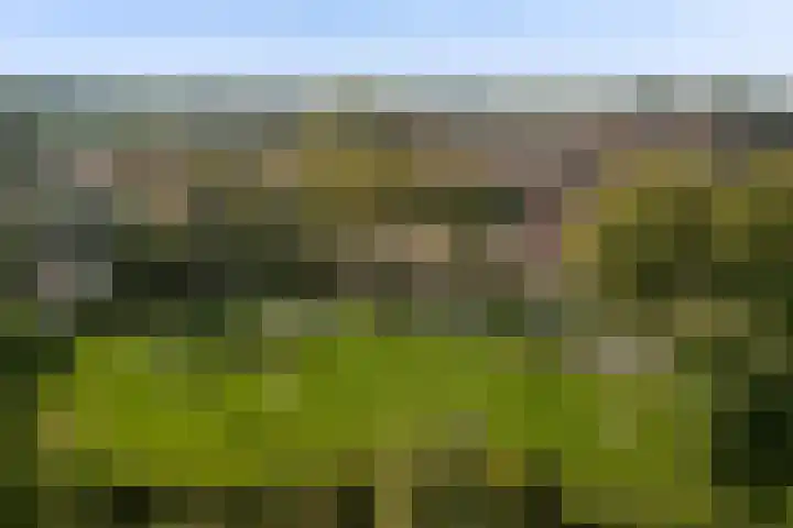Ieplaan 137 Waddinxveen thumbnail 53