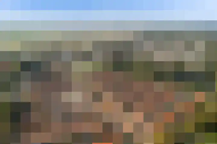 Ieplaan 137 Waddinxveen thumbnail 54